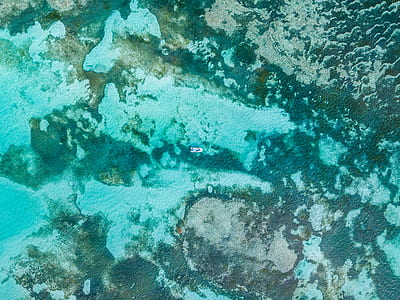 aerial photography of forest thumbnail