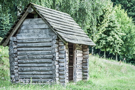 gray wooden house surround with grass and trees thumbnail