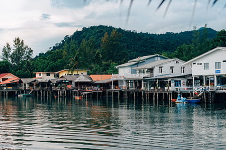 white and brown houses above water near trees during daytime thumbnail