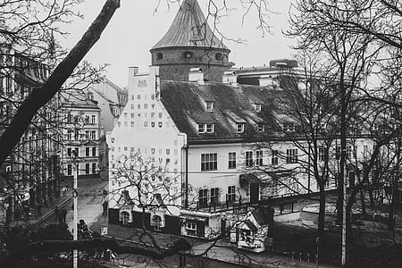 Greyscale Photo of White Painted Building Distance With Bare Trees thumbnail