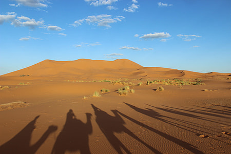desert under white s ky thumbnail