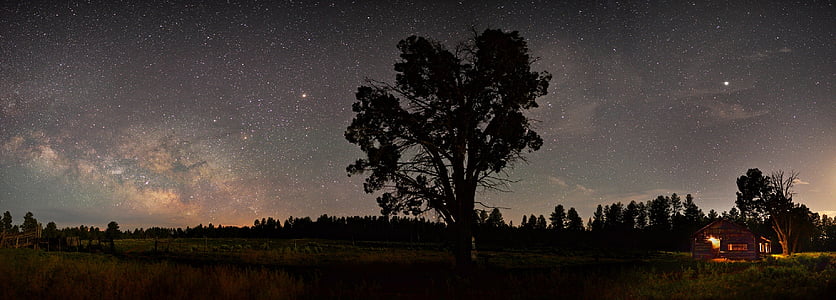 silhouette of tree near camp with bonfire under stars during nighttime thumbnail