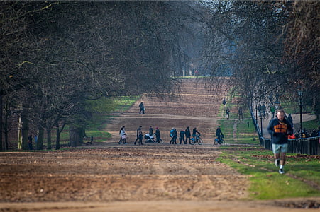 people on road between pine trees during daytime thumbnail