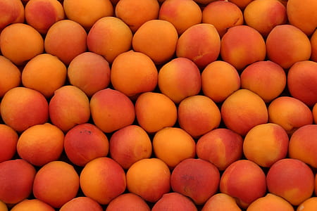 round orange fruits thumbnail