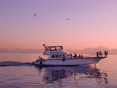white and black motorboat with people inside thumbnail
