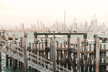 high-angle photography of gray bridge and structure on body of water thumbnail