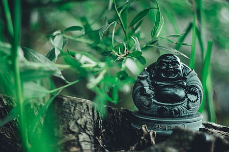 Budai figurine close-up photo thumbnail