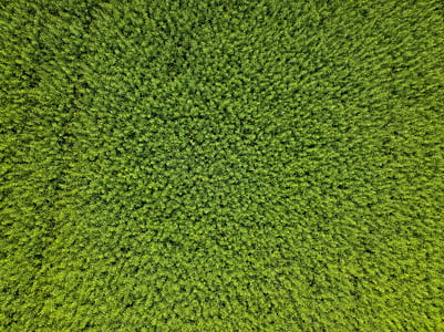 green textile thumbnail