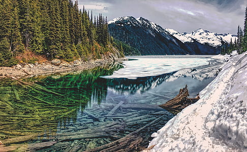 body of water between trees thumbnail