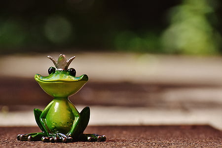 shallow focus photography of frog figurine thumbnail