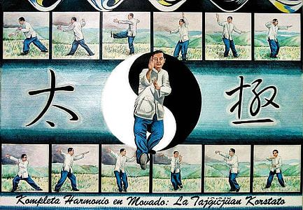 Karate man practicing in front of Yin-Yang thumbnail