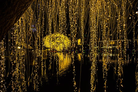 lighted string light near body of water thumbnail