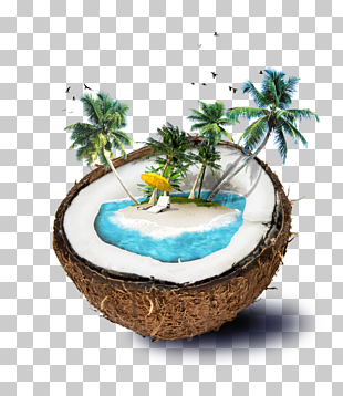 Coconut water Travel, Shading Borders,Shading template ,Shading material , brown coconut PNG clipart