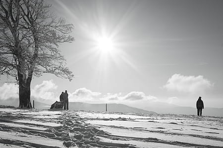 cold, snow, landscape, nature thumbnail