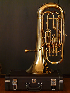 photo of brass tuba in case thumbnail