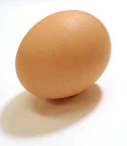 shallow focus photography of brown native egg thumbnail