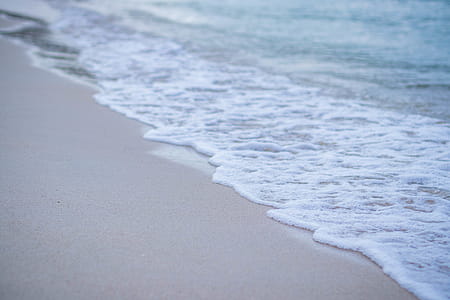 Closeup Photo of Seashore thumbnail