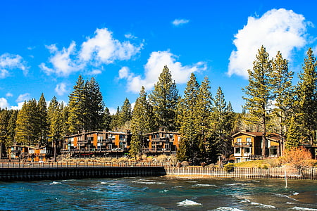 brown-and-gray houses surrounded by trees and river thumbnail