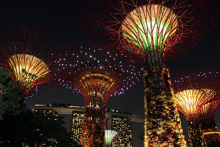 tree towers thumbnail