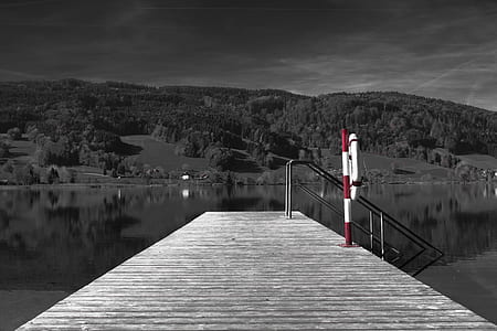 light, black-and-white, landscape, nature thumbnail