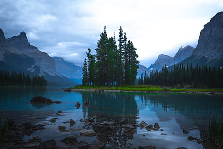 reflection photography of trees on islet and body of water thumbnail
