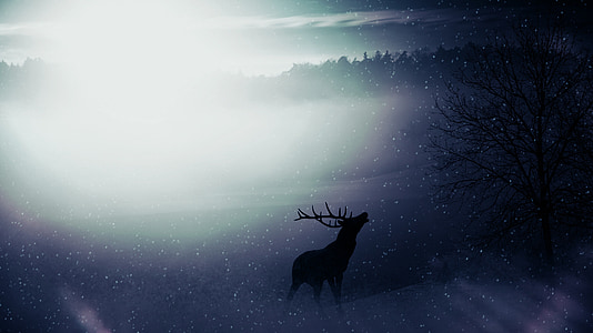 reindeer on top of mountain illustration thumbnail