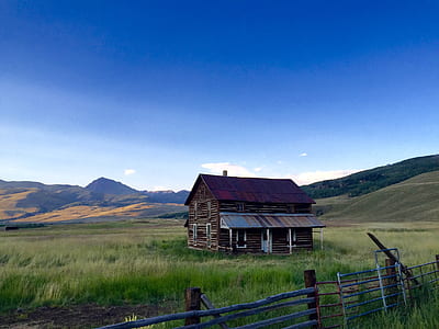 brown house surrounded by green grass under blue sky during daytime thumbnail