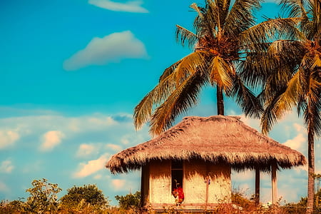 nipa hut beside coconut tree thumbnail