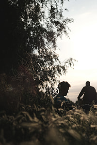 two men leaning on green leaf plant during daytime thumbnail