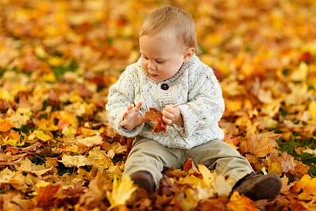 baby on maple leave thumbnail