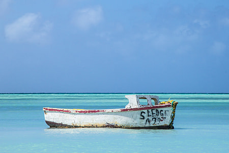 white boat on body of water thumbnail