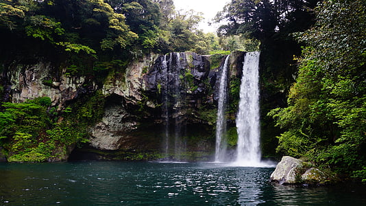 waterfalls surrounded by green leafed trees thumbnail