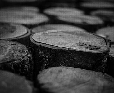 Grayscale Photo of Wood Logs thumbnail