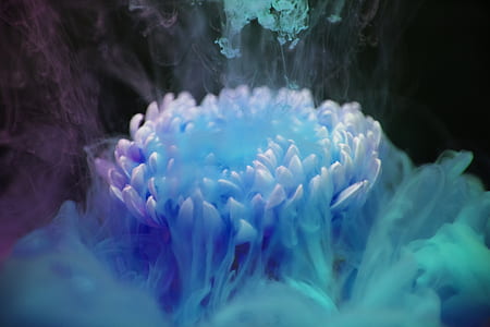 white flower surrounded with blue and green smoke digital wallpaper thumbnail