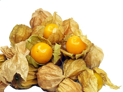 physalis fruit thumbnail