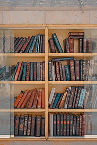 books arranged inside brown bookcase thumbnail