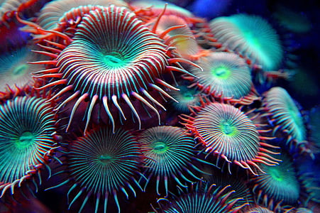 micro photography of red and green organisms thumbnail