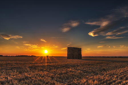 grass field under yellow sunrise thumbnail