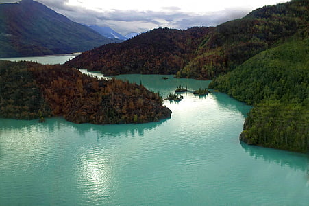 green trees and mountains and body of water thumbnail