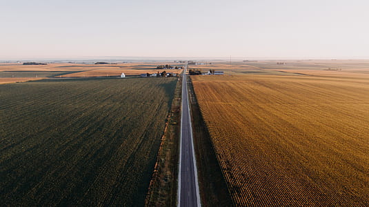areal photography of field thumbnail