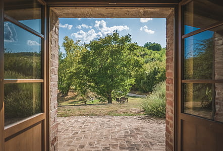light, architecture, tree, door thumbnail