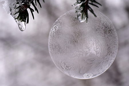 ball, ice ball, frosty, frozen, soap bubble, frozen bubble thumbnail