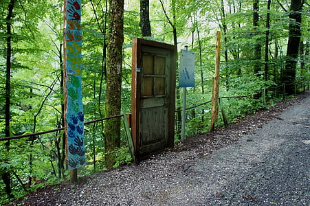 brown wooden door surrounded by gray soil and green trees thumbnail