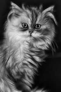 white and gray illustration thumbnail