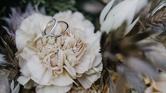 two silver-colored rings on white petaled flower thumbnail