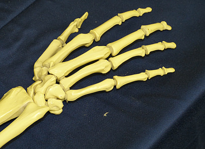 bone hand on cloth thumbnail