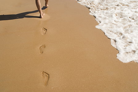 person walking on shore thumbnail