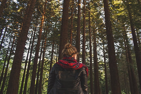 woman in forest during daytime thumbnail