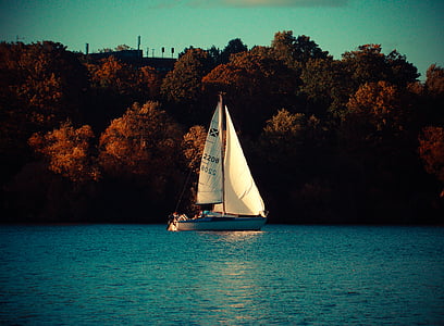 white boat on body of water thumbnail