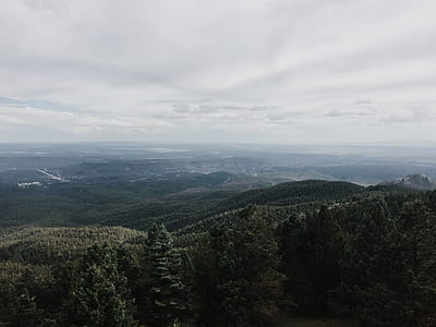 aerial view of mountain and forest during day time thumbnail